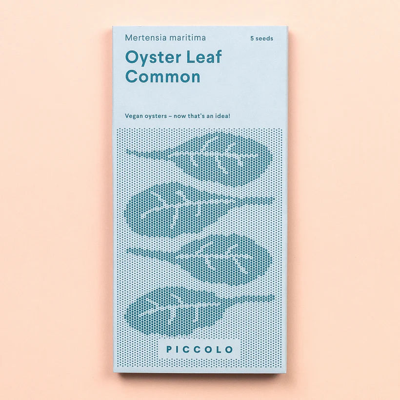 Oyster Leaf Common Seeds