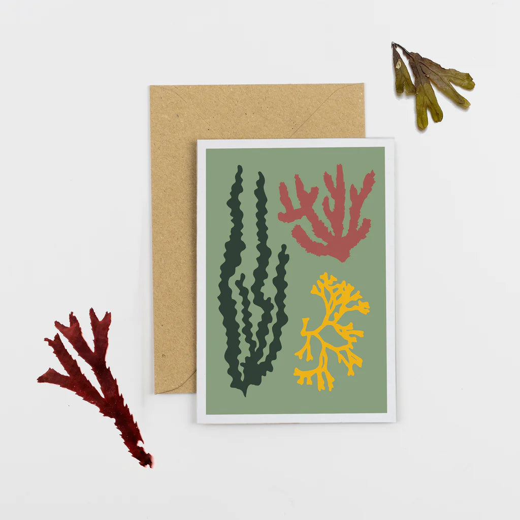 Seaweed Card Green