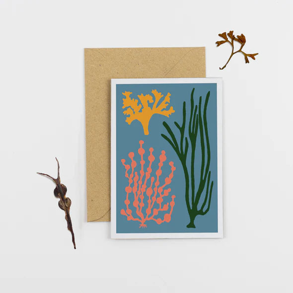 Seaweed Card Blue