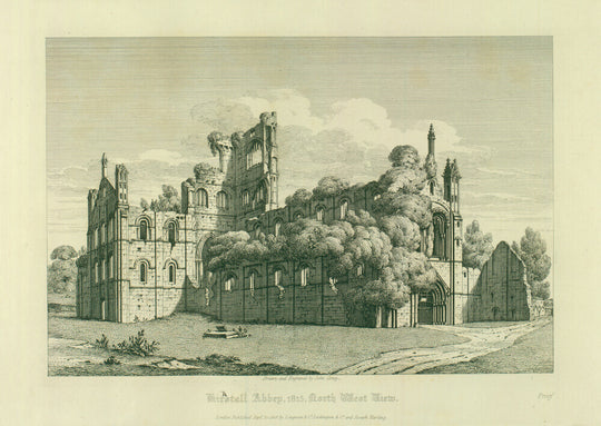 Kirkstall Abbey (North West View)